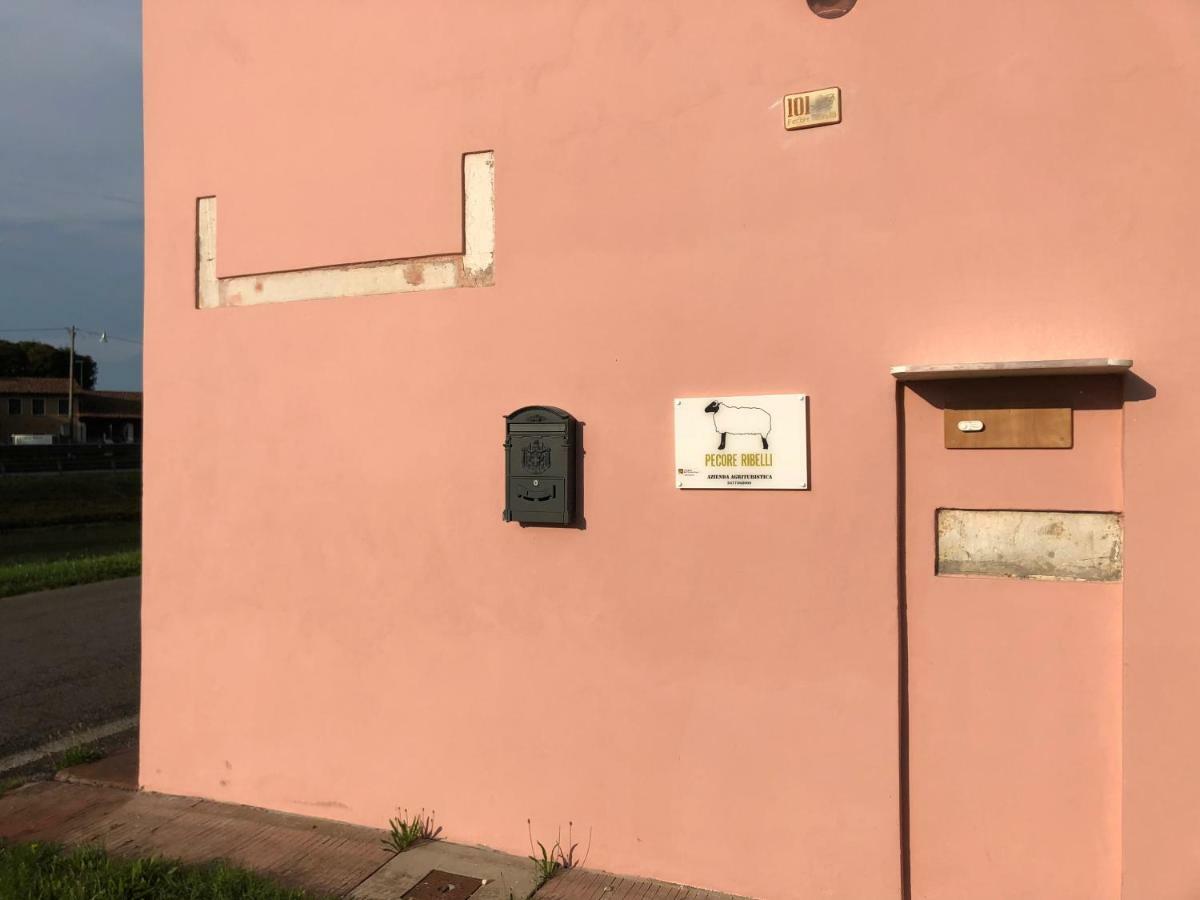 Pecore Ribelli Mira Zewnętrze zdjęcie
